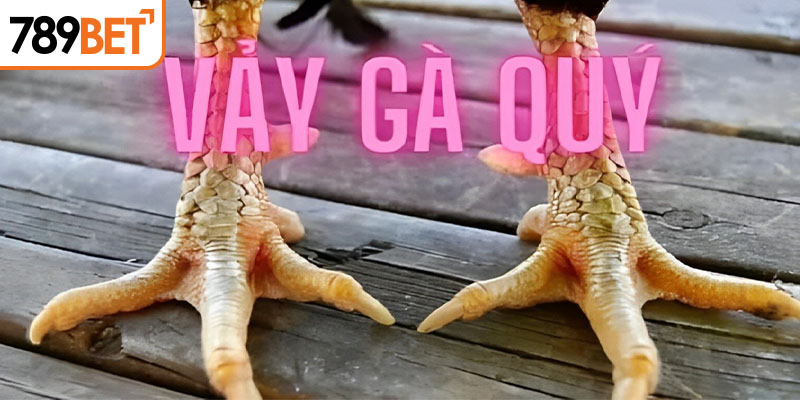 Vảy gà quý được tìm kiếm nhiều